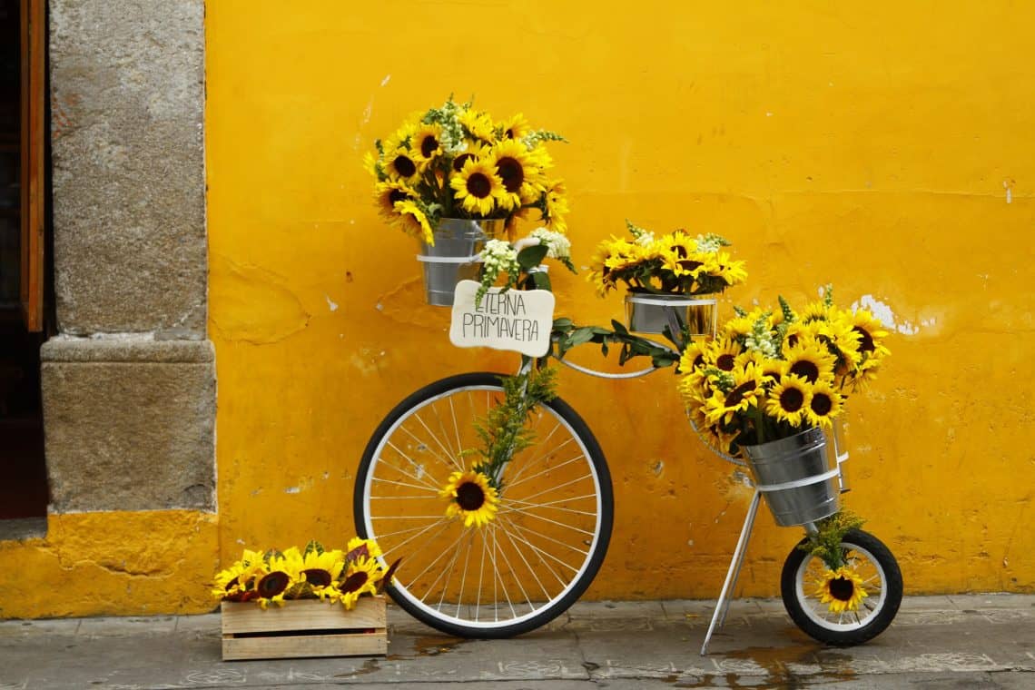 Imaginación floreciente, creatividad en marcha, cada muro y cada acera se convirtió en lienzo para exponer la belleza floral guatemalteca – SoyMigrante.com REVISTA