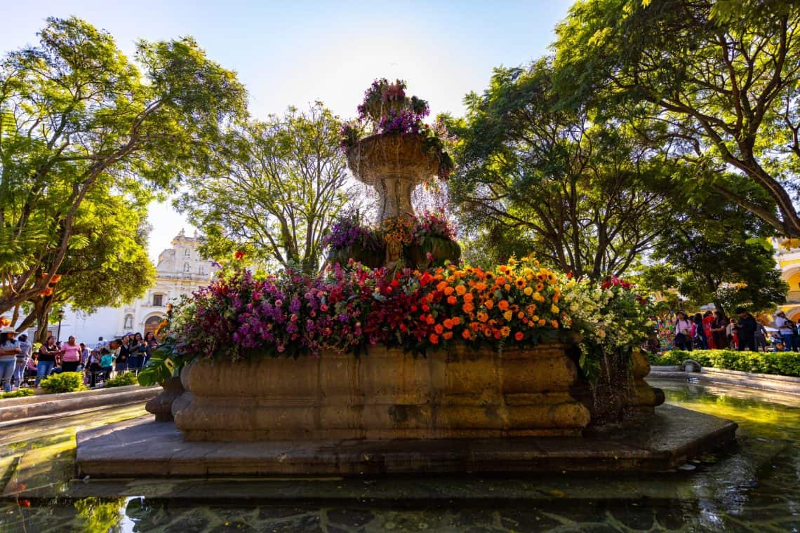El Parque Central de Antigua siempre es el núcleo de un deslumbrante mosaico. Festival de las Flores 2023 – SoyMigrante.com REVISTA