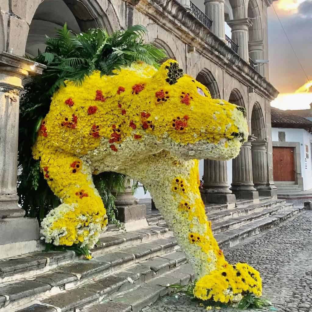 Todos le ponen color, textura, creación y sobre todo corazón a la decoración de la ciudad colonial en cada Festival de las Flores