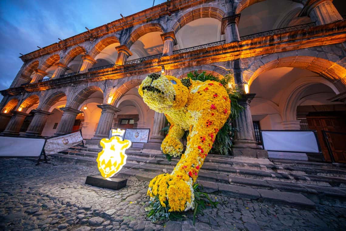 El Jaguar en el Ayuntamiento de Antigua fue uno de los grandes atractivos del Festival de las Flores 2022 – SoyMigrante.com REVISTA