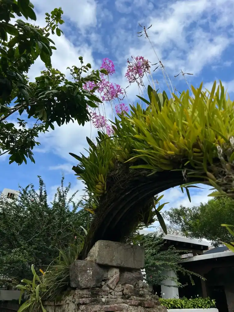 El recuerdo siempre presente de Guatemala ha sido inspiración para Carlos Martínez a lo largo de su carrera como arquitecto paisajista. (Fotografía Carlos Martínez) Si deseas ir a su blog, clic en la imagen.