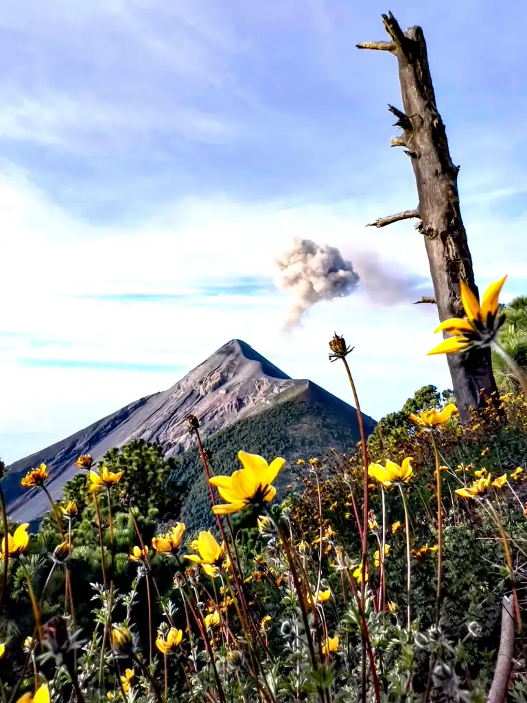 Explosión del volcán de Fuego, captada desde el volcán Acatenango. Fotografía arquitecto guatemalteco Carlos Martínez, radicado en Canadá.