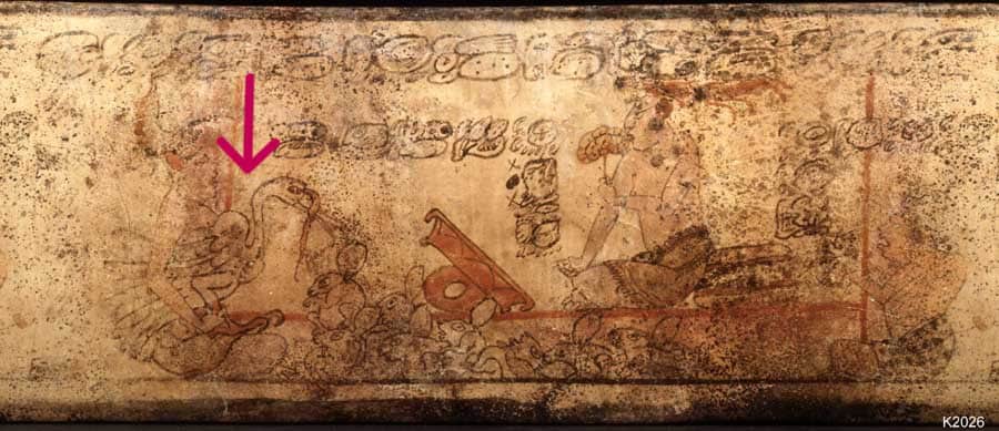 Un gobernante del sitio maya conocido hoy como La Corona o Saq Nikté, que existió entre los años 250 a 900, se llamaba Gran Señor Pavo y en este vaso se representa junto a su simbólico nahual, mostrando la importancia mística y ceremonial de esta ave. – SoyMigrante.com REVISTA