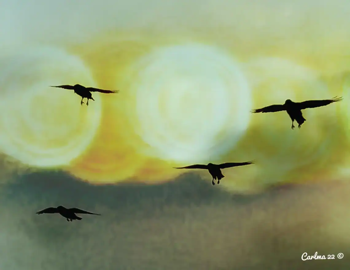 fotografía carlos martinez guatemalteco en canada arquitecto – SoyMigrante.com REVISTA