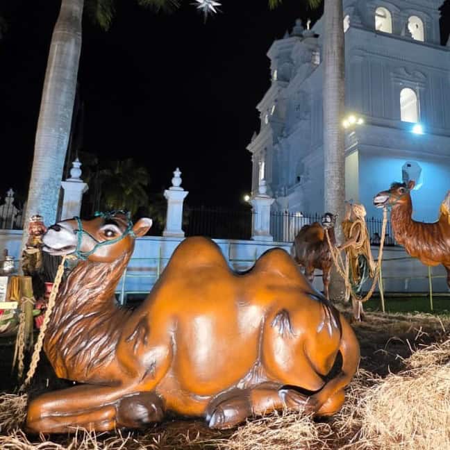 nacimiento esquipulas basilica camellos – SoyMigrante.com REVISTA