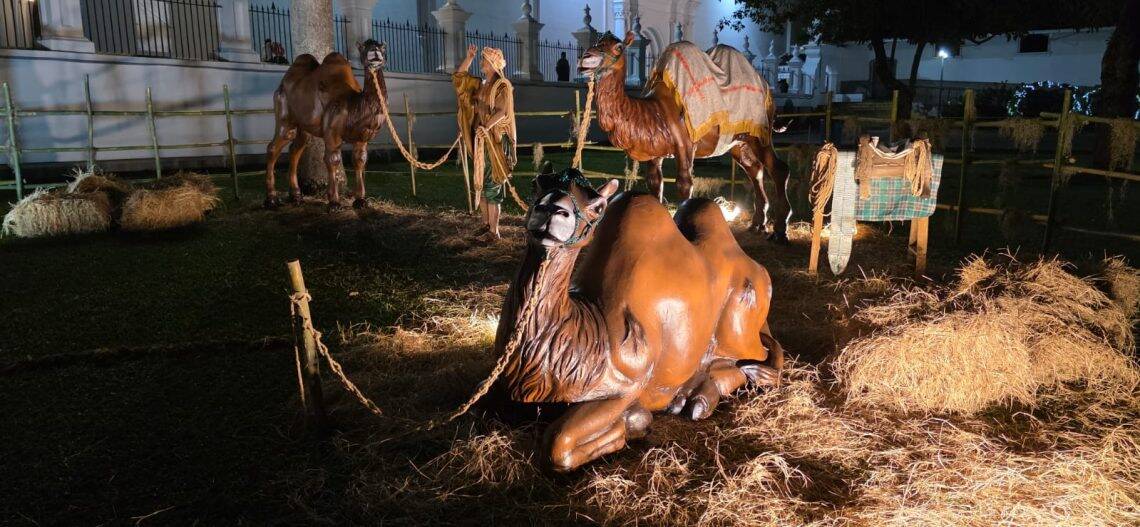 Los camellos se mandaron a elaborar con artesanos guatemaltecos, basándose en modelos fotográficos y en video, para lograr una proporción realista. – SoyMigrante.com REVISTA