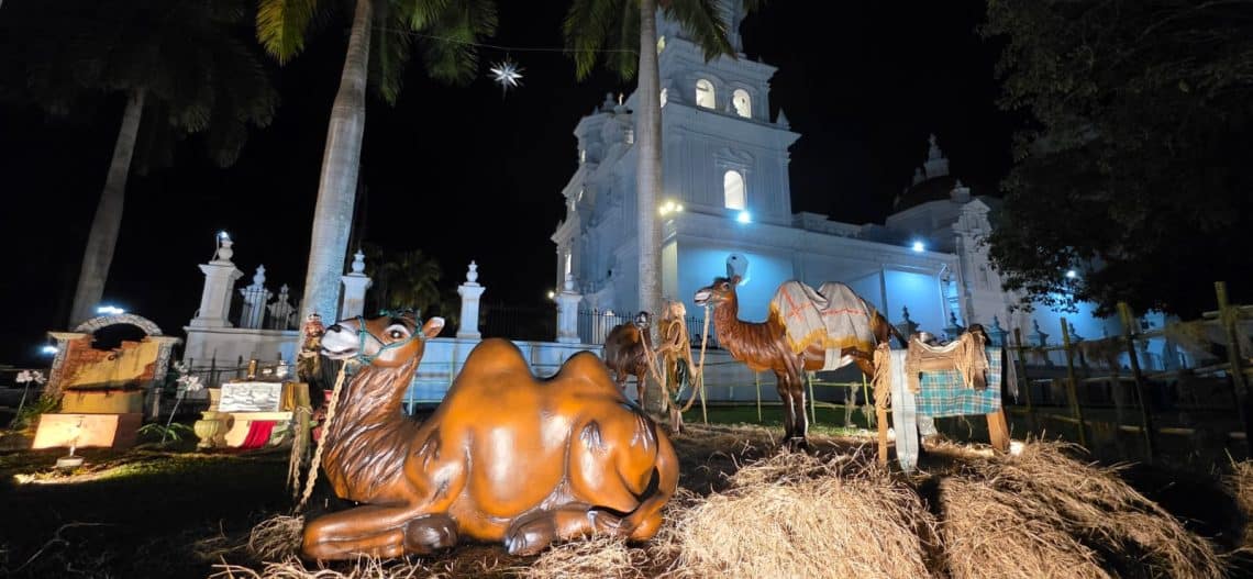 Los camellos están esperando a sus dueños para emprender el regreso después de visitar al Niño Jesús... lo cual también invita a la reflexión de los peregrinos que acuden a venerar al Santo Cristo y a admirar la escena de la Natividad. Ya no regresan igual: van transformados espiritualmente. – SoyMigrante.com REVISTA