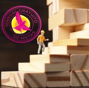 manual de metas 2 – SoyMigrante.com REVISTA