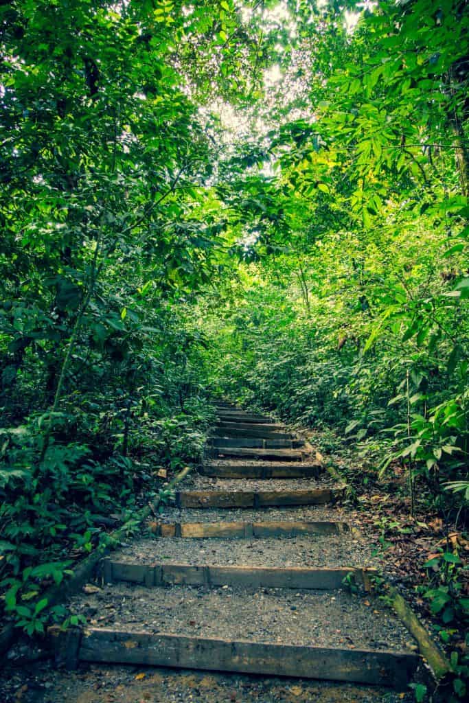 Manantiales y senderos hacen de la visita a Cerro San Gil una experiencia inolvidable: se debe efectuar la visita con apoyo de un guía, por seguridad y para apoyar a las comunidades locales. Para ir al mapa de cómo ir al parque, clic en la imagen.