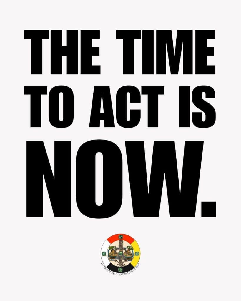 El tiempo de actuar es ahora, dice este flyer que forma parte de varias frases emblemáticas de defensa de los derechos de los migrantes y de los pueblos indígenas del continente. (Para ir al post y ver todos los mensajes, clic en la imagen)