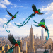 ILUSTRACION de quetzales en nueva york para representar envio de remesas desde estados unidos