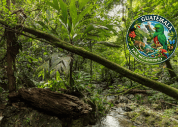 guatemala pais mega diverso cerro san gil parque