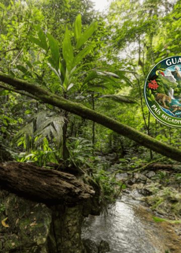 guatemala pais mega diverso cerro san gil parque