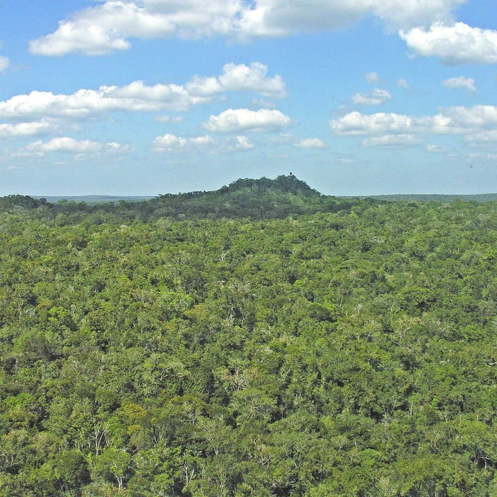 mirador guatemala descubierta en 1926
