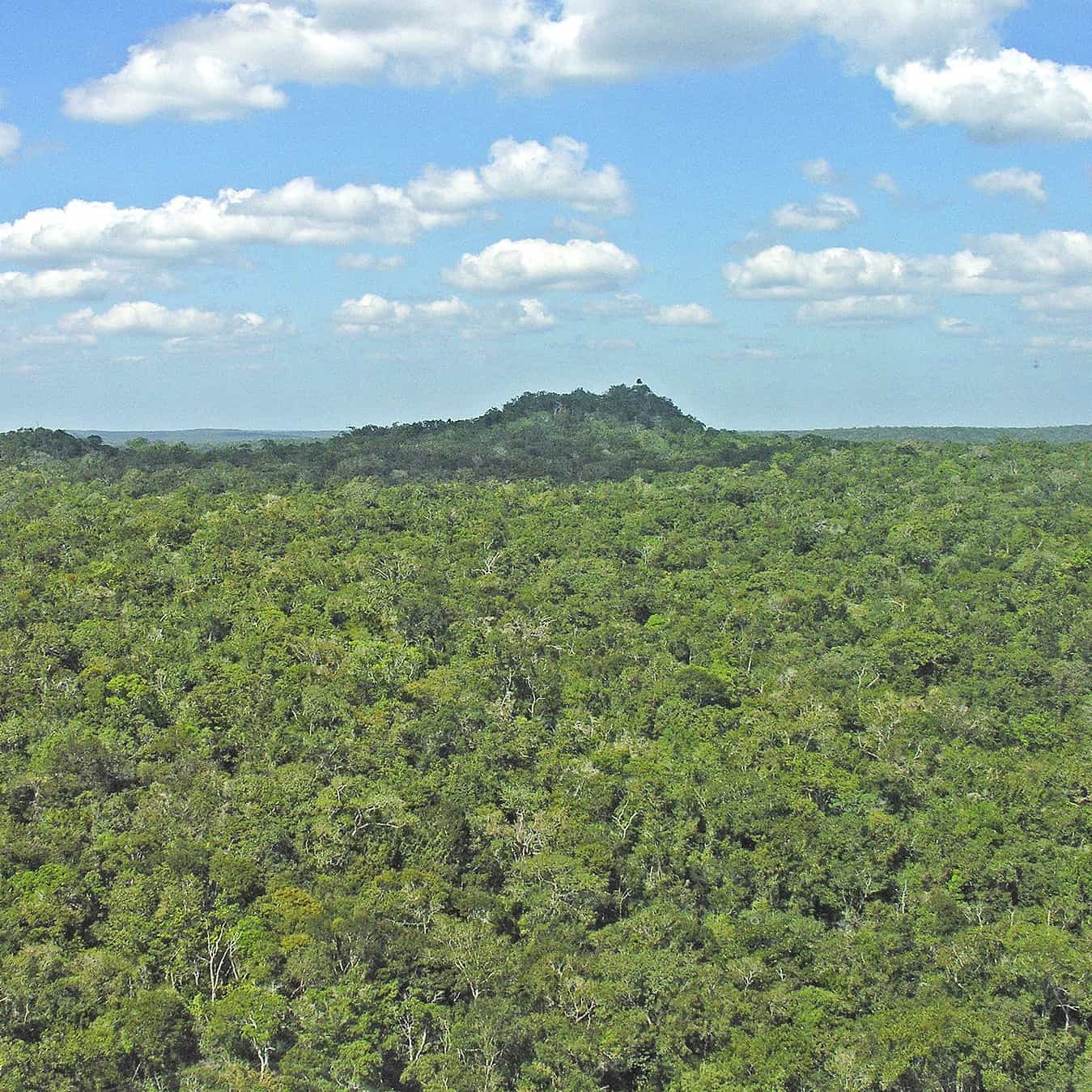 Este 2026 se cumple un siglo del hallazgo del sitio maya El Mirador en Petén, Guatemala