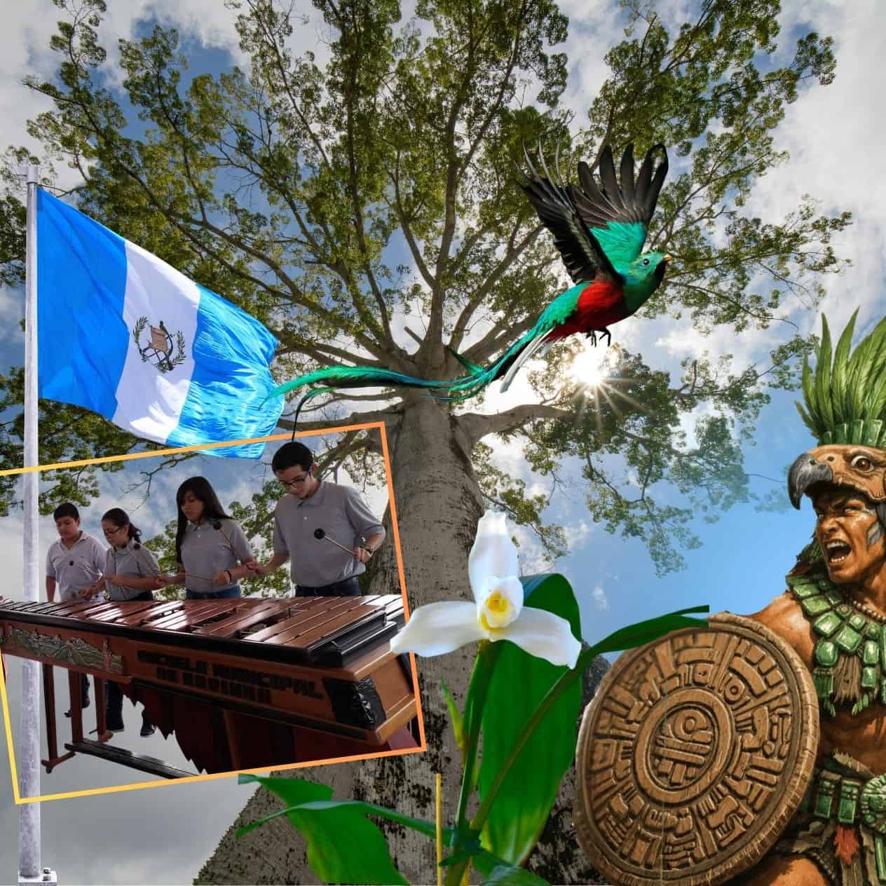Símbolos Patrios de Guatemala brillan más en Septiembre: Conoce su historia, fechas y valores