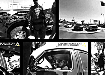 cifras migratorias segun asociacion americana de abogados migratorios 3