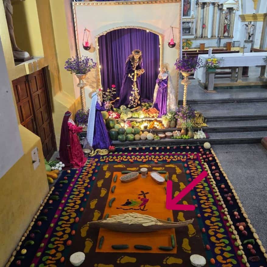 La flor de corozo dentro o fuera de de su cartucho es un elemento infaltable en los huertos de Semana Santa en Guatemala. Velación de Jesús Nazareno en parroquia de Santiago Jocotán, Chiquimula.