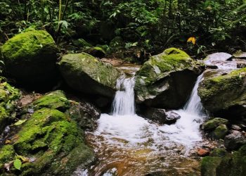 mirador rey tepepul atitlan guatemala turismo ecoturismo
