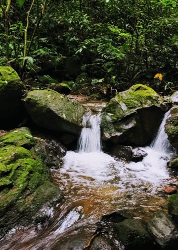 mirador rey tepepul atitlan guatemala turismo ecoturismo