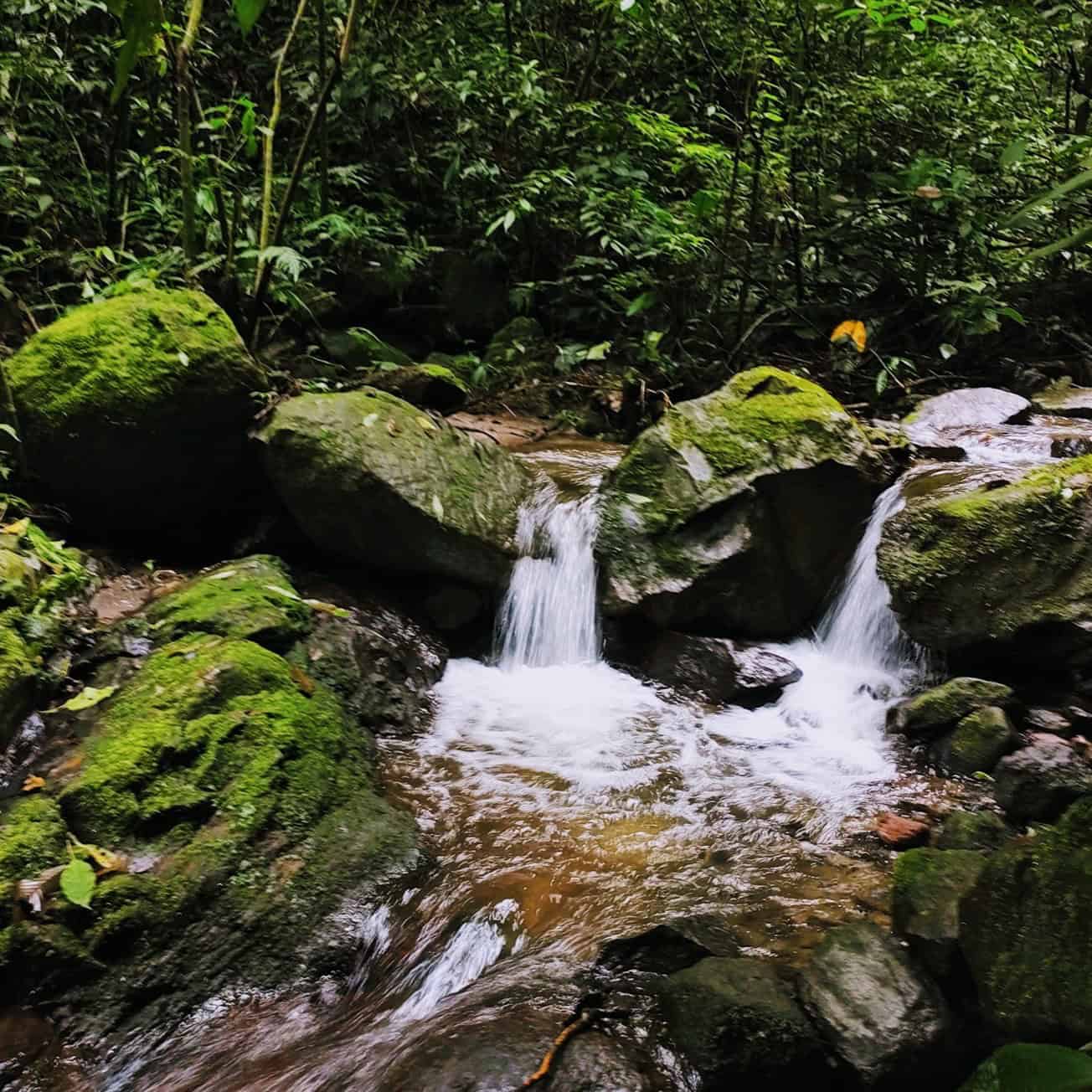 Mirador rey Tepepul es la majestuosa reserva natural en Atitlán en donde se puede avistar el Quetzal