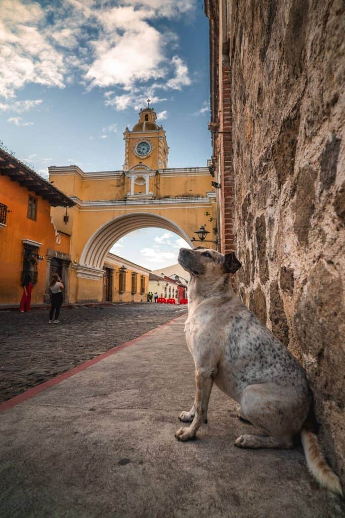 Fotografías de David Rojas, guatemalteco