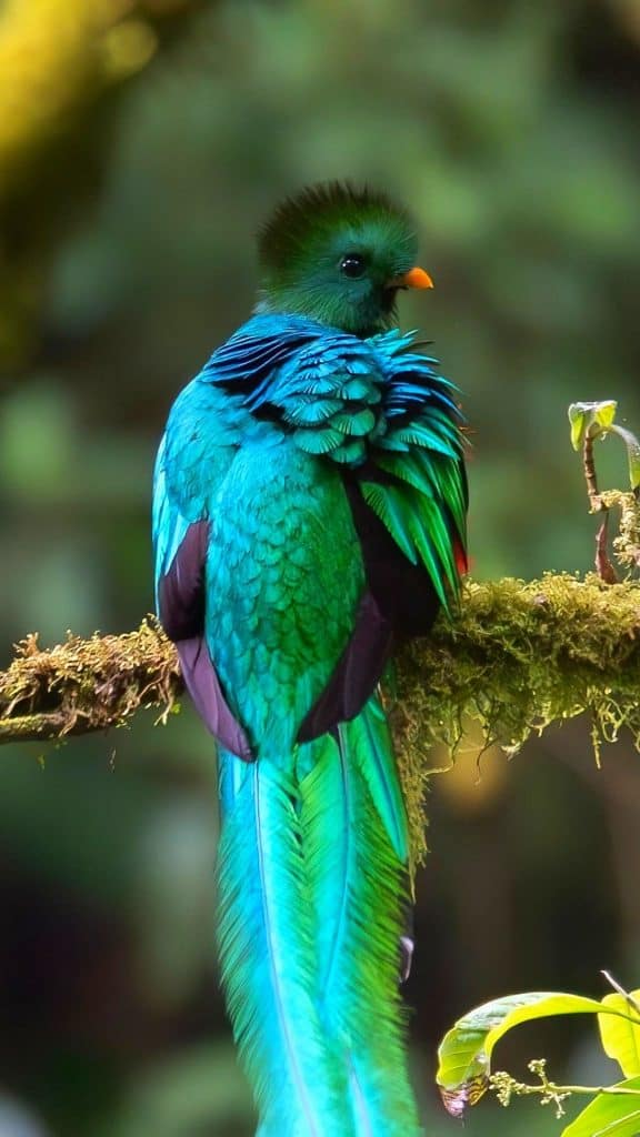 Fotografías de David Rojas, guatemalteco