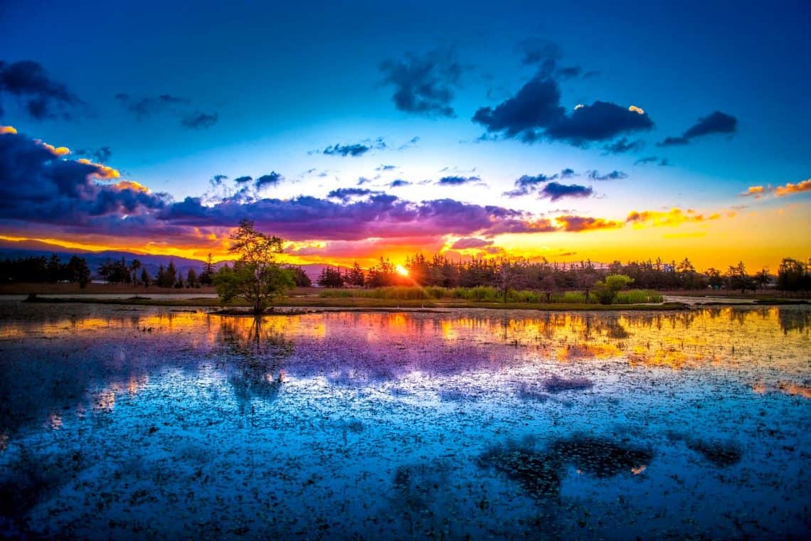 Fotografías de David Rojas, guatemalteco