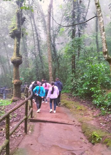 parque ecologico senderos de alux 5