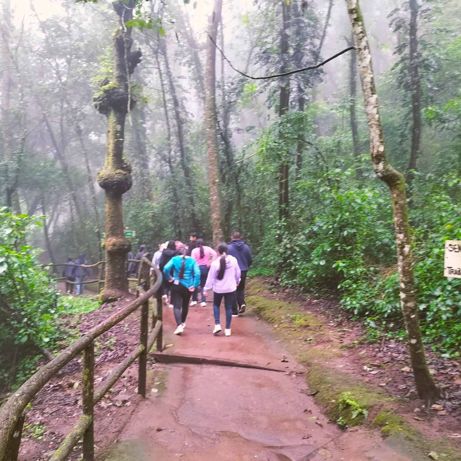 Refugio natural cerca de la capital: La reserva ecológica Senderos de Alux en Sacatepéquez