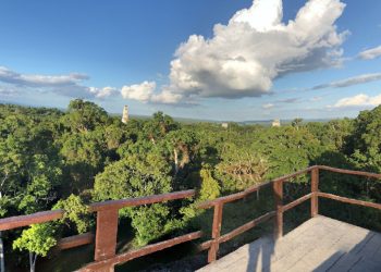 Tikal Templos Guia turismo en guatemala