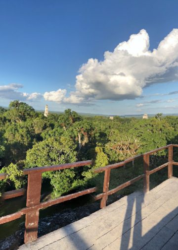 Tikal Templos Guia turismo en guatemala