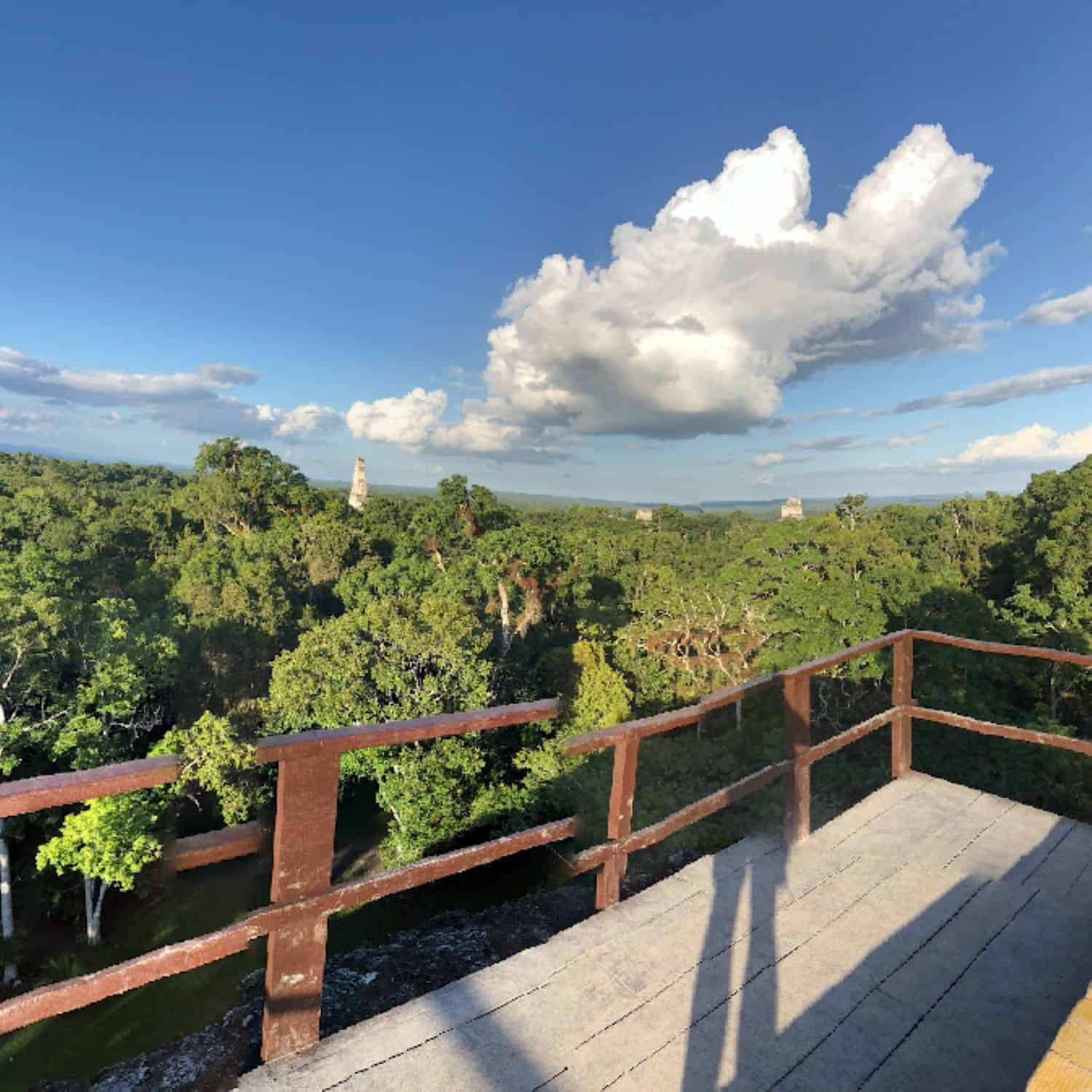 Recorrido virtual: conoce detalles de 7 grandes templos de Tikal