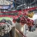 arte guatemalteco en atlanta nube pelotas de futbol darío escobar mundial 2026 estados unidos 8a