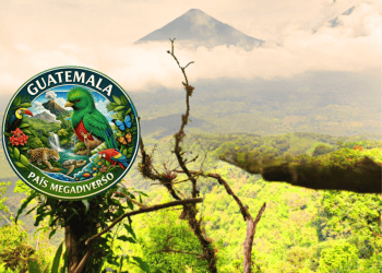 Circular Guatemala megadiversity seal on a lush jungle backdrop with a distant volcano in the background and a dark hand entering from the right.