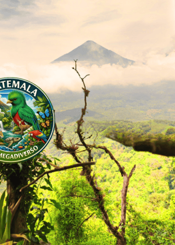 Circular Guatemala megadiversity seal on a lush jungle backdrop with a distant volcano in the background and a dark hand entering from the right.