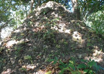 Conical rock pile in a forest, covered with leaves and small plants nearby.