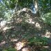 Conical rock pile in a forest, covered with leaves and small plants nearby.