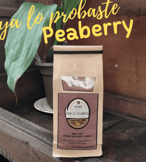 Coffee bag from Finca Clarita labeled Peaberry on a wooden shelf, with a green plant beside it and yellow script text over the top