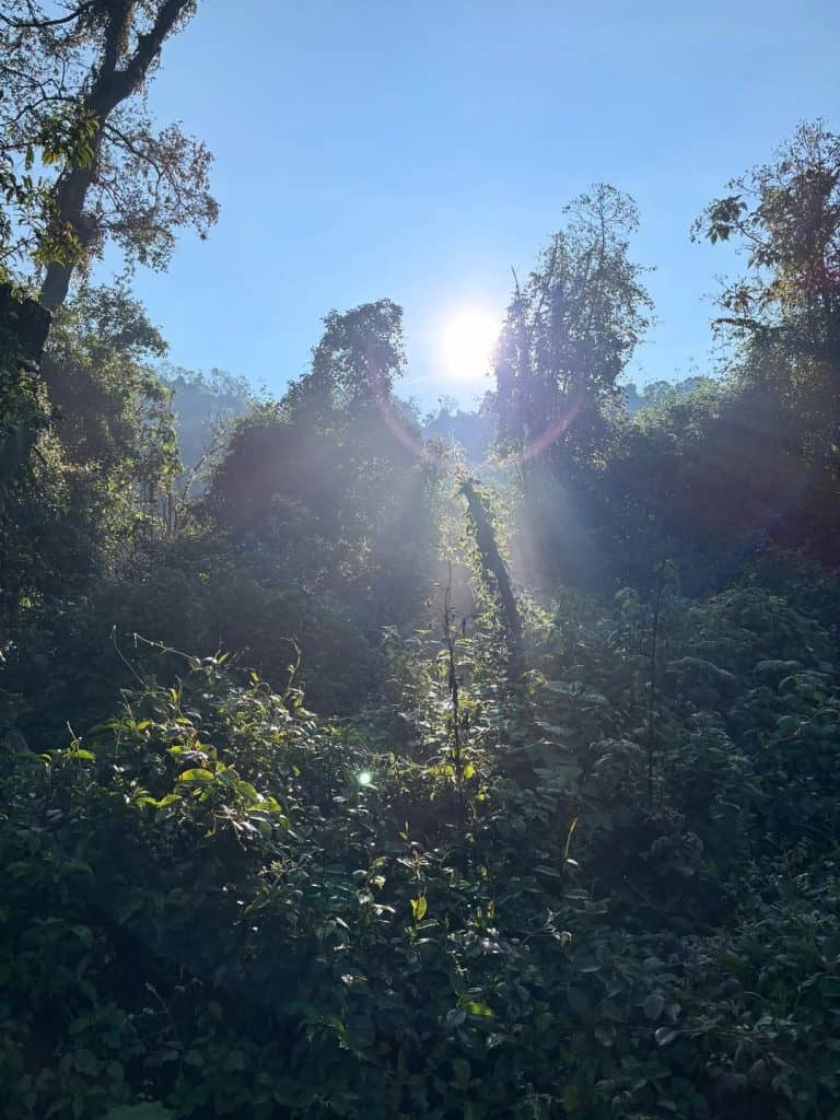 En cada mayo Jared Lemus viaja a Guatemala para ver más paisajes, conocer más lugares, conversar con más personas y encontrar algo más de sí mismo. Visita de 2025