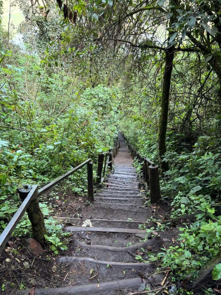 En cada mayo Jared Lemus viaja a Guatemala para ver más paisajes, conocer más lugares, conversar con más personas y encontrar algo más de sí mismo. Visita de 2025
