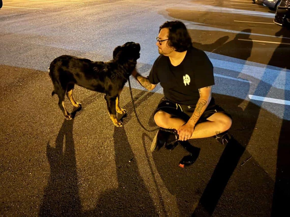 Jared Lemus no tiene un perro: tiene un "chucho". Su mascota es el silencioso acompañante de noches de creación literaria. En abril de 2027 planea lanzar su nueva novela Magia en el País de la Eterna Primavera.
