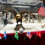 mundial de las aves en museo camarillo muestra en museo de aves de camarillo california rene corado guatemalteco migrante