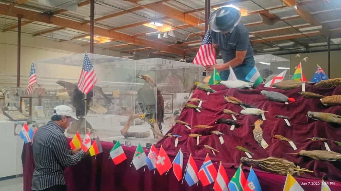 Esta gran selección mundial de aves estuvo a cargo del biólogo y escritor migrante guatemalteco René Corado, quien junto al personal del museo de Camarillo, del cual es director, preparó con esmero el montaje.