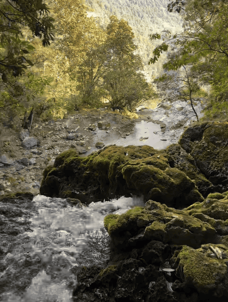 Tan solo un poco más arriba de la cascada está el nacimiento: esta es la vista desde ese punto (Fotografía Abel Juárez) Si quieres ver el video. CLIC EN LA IMAGEN