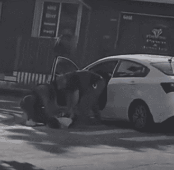 Los agentes jalaron al trabajador colombiano del vehículo y lo tiraron al suelo para esposarlo, pese a que era notorio que estaba inconsciente.