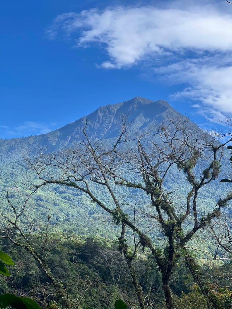 Cumbre del volcán Pecul o Santo Tomás, vista desde el ascenso vía Suchitepéquez a Sololá. Es una escalada muy exigente por lo que se recomienda efectuarla con guía y con la debida preparación física previa. (Foto Google Maps)