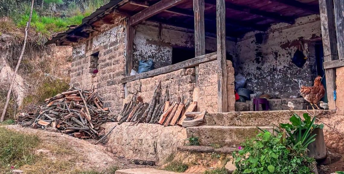 la casa de los abuelos por marcos zarate