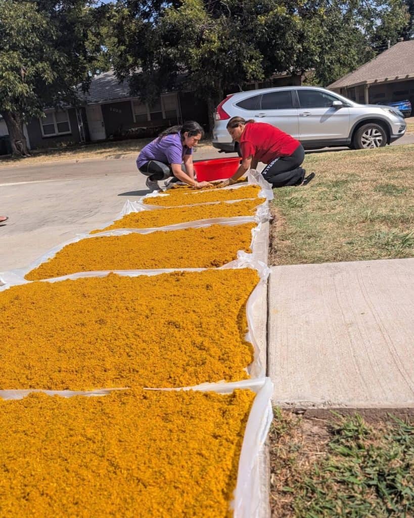 Los migrantes guatemaltecos aprendieron todo el proceso: desde el teñido del aserrín hasta la elaboración de moldes y las técnicas de aplicación del aserrín ya coloreado. Para muchos fue la primera vez que hacían una alfombra. El resultado fue esplendoroso. (Fotos Hilda de León Xavier)