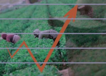 el-costo-de-las-redadas-en-la-economia-de-estados-unidos.jpg
